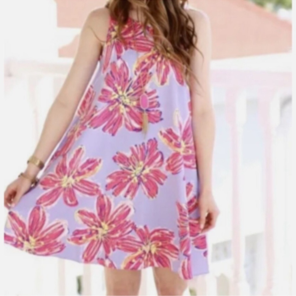 NWT Lilly Pulitzer Molly Haynes Trapeze Dress M - Picture 2 of 12
